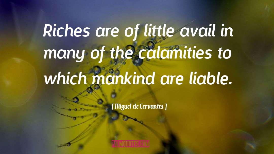 Miguel De Cervantes Quotes: Riches are of little avail