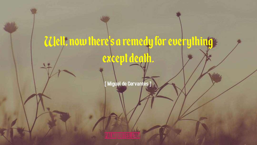 Miguel De Cervantes Quotes: Well, now there's a remedy