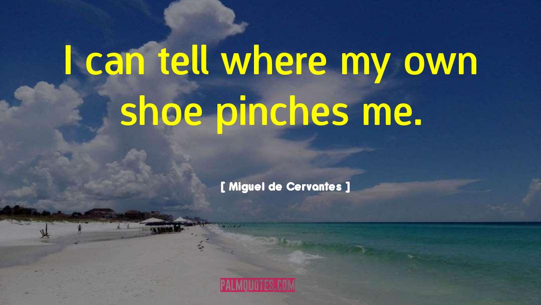 Miguel De Cervantes Quotes: I can tell where my