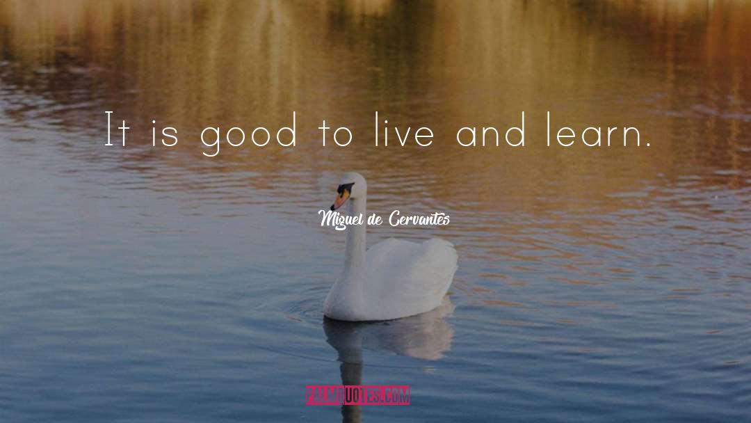 Miguel De Cervantes Quotes: It is good to live