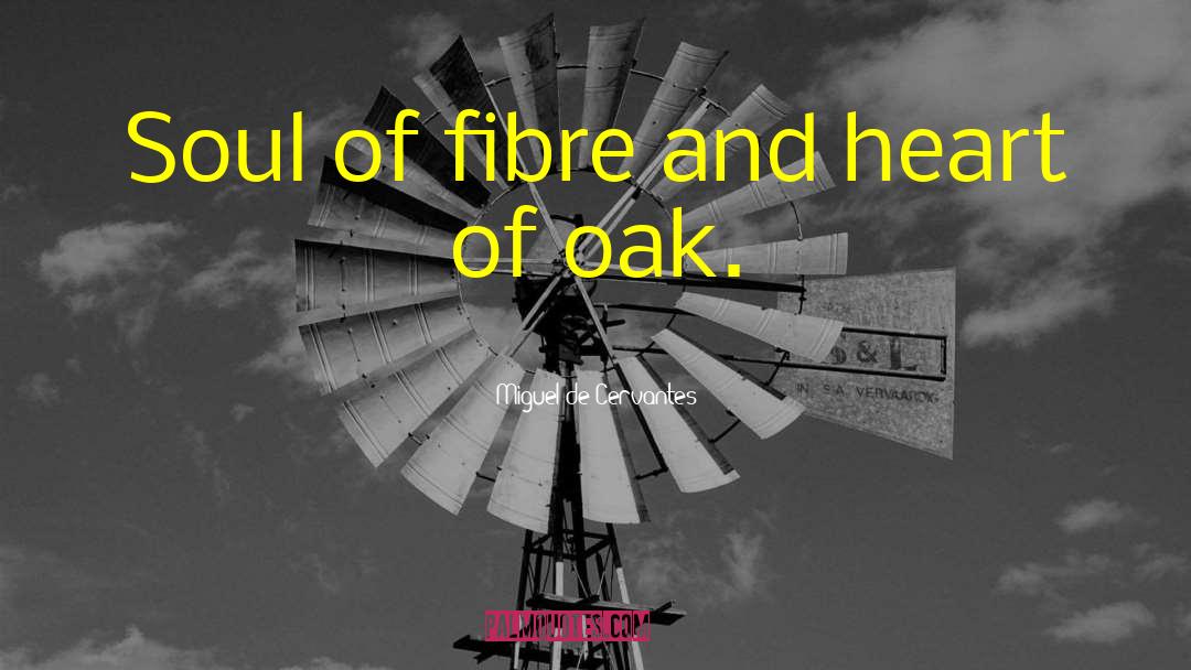 Miguel De Cervantes Quotes: Soul of fibre and heart