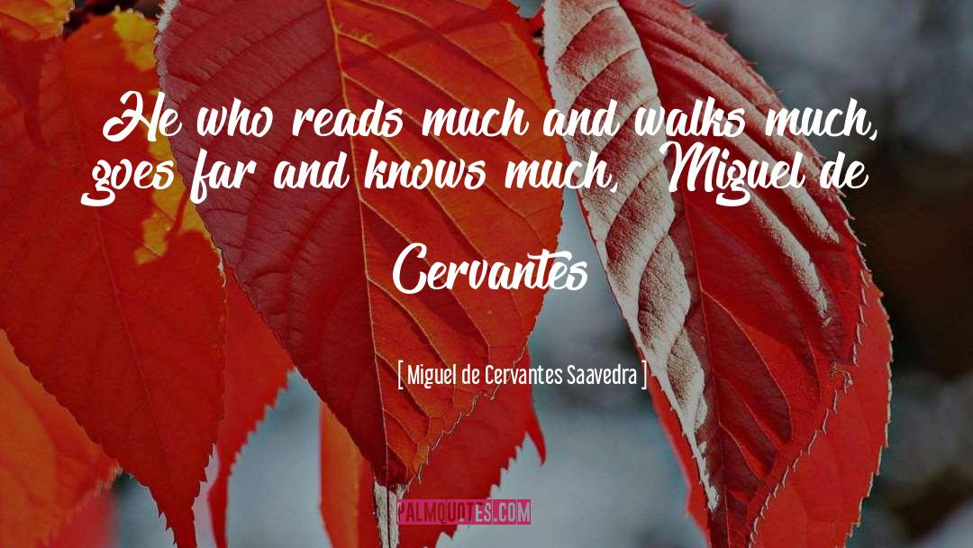 Miguel De Cervantes Saavedra Quotes: He who reads much and