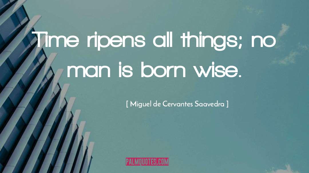 Miguel De Cervantes Saavedra Quotes: Time ripens all things; no