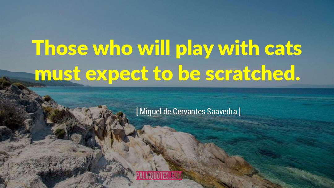 Miguel De Cervantes Saavedra Quotes: Those who will play with