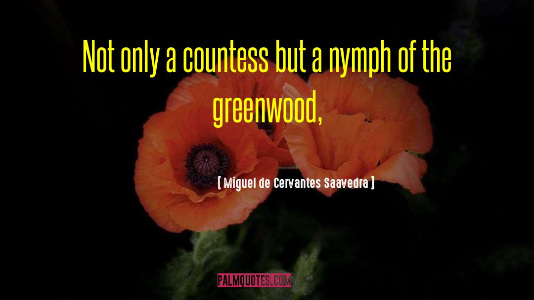 Miguel De Cervantes Saavedra Quotes: Not only a countess but