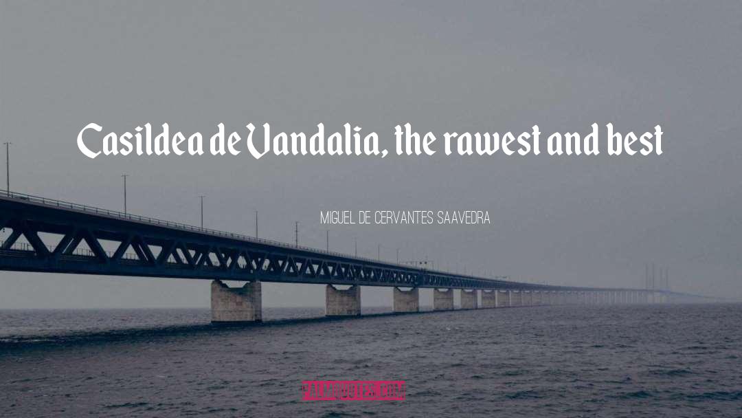 Miguel De Cervantes Saavedra Quotes: Casildea de Vandalia, the rawest