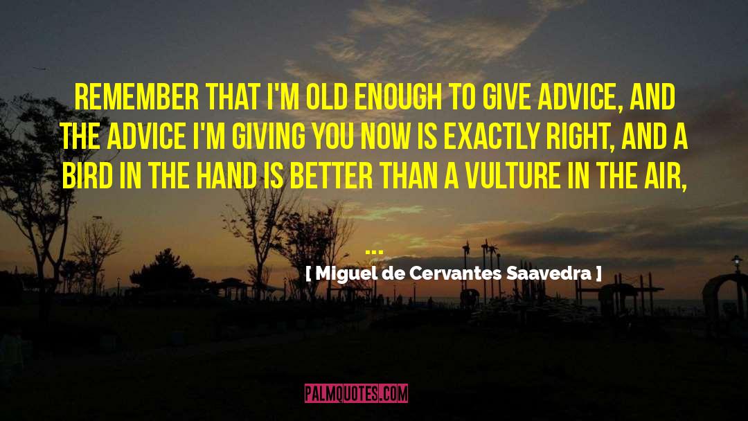 Miguel De Cervantes Saavedra Quotes: Remember that I'm old enough