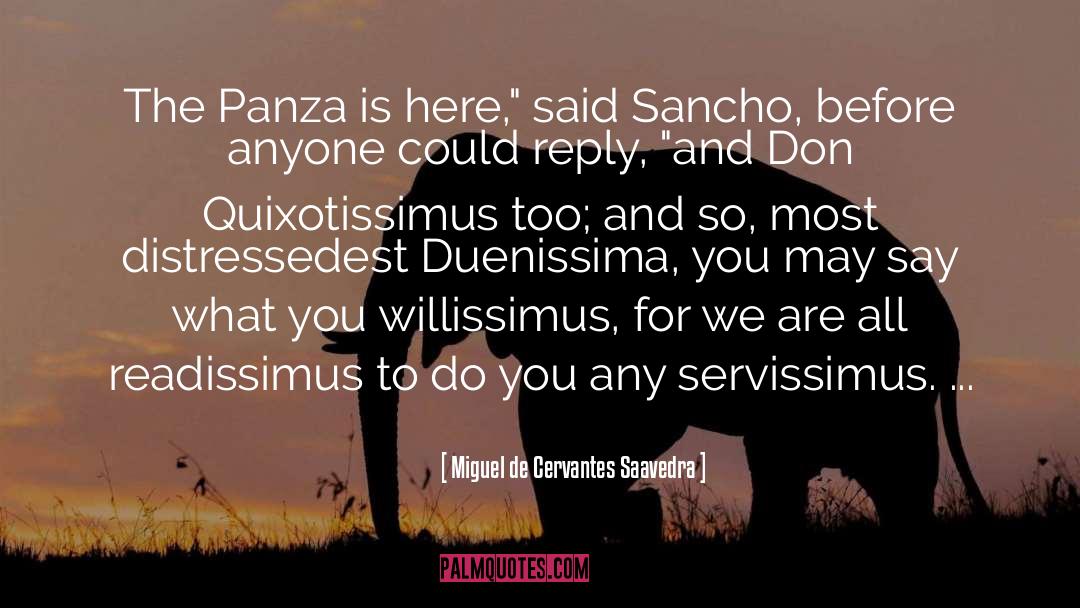 Miguel De Cervantes Saavedra Quotes: The Panza is here,