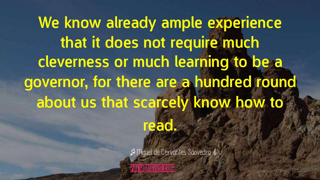 Miguel De Cervantes Saavedra Quotes: We know already ample experience