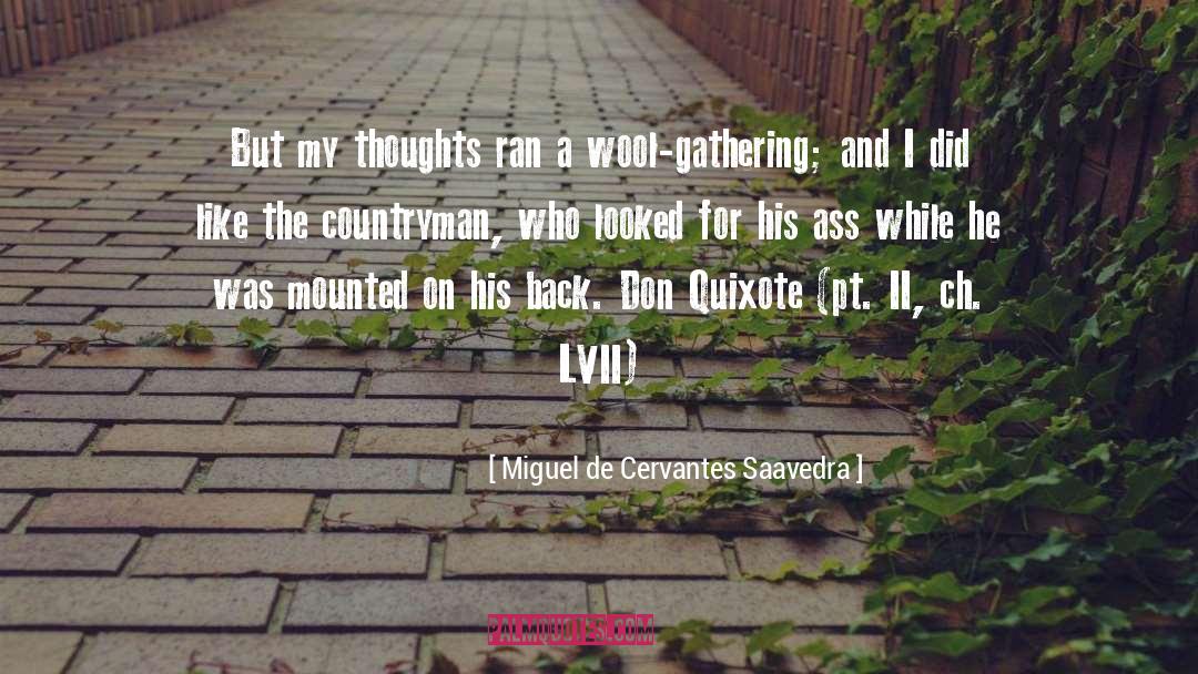 Miguel De Cervantes Saavedra Quotes: But my thoughts ran a