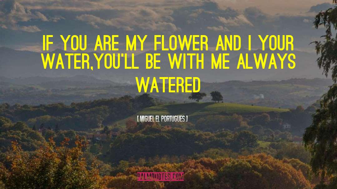Miguel El Portugues Quotes: If you are my flower