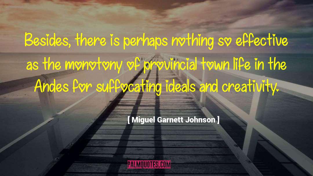 Miguel Garnett Johnson Quotes: Besides, there is perhaps nothing