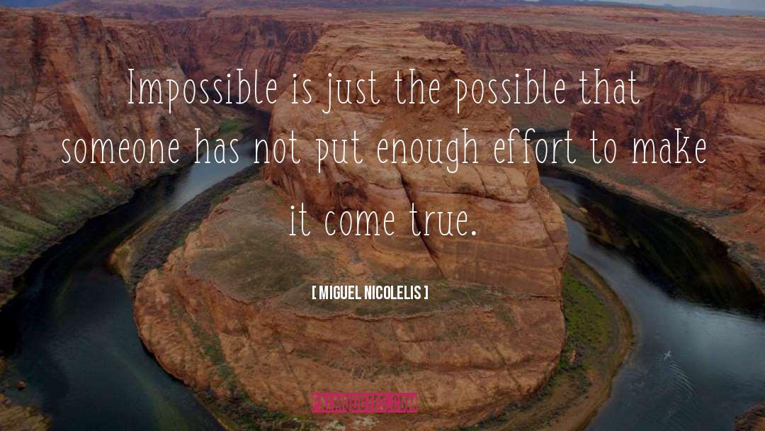 Miguel Nicolelis Quotes: Impossible is just the possible