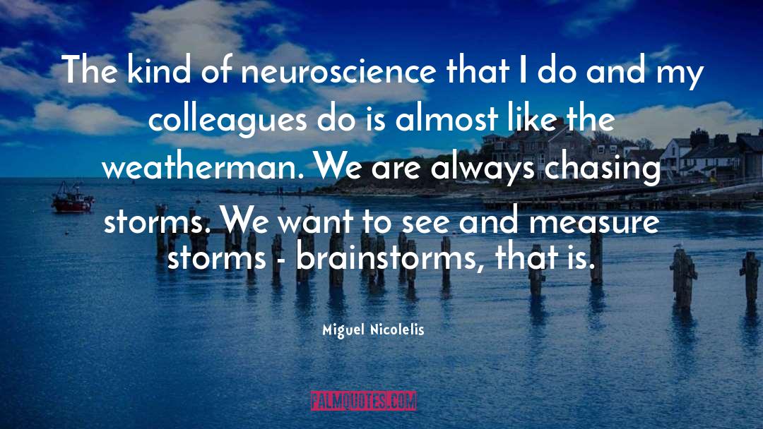 Miguel Nicolelis Quotes: The kind of neuroscience that