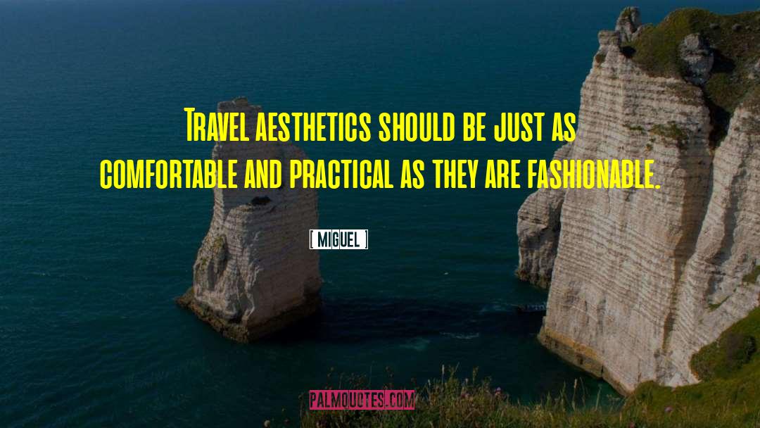 Miguel Quotes: Travel aesthetics should be just