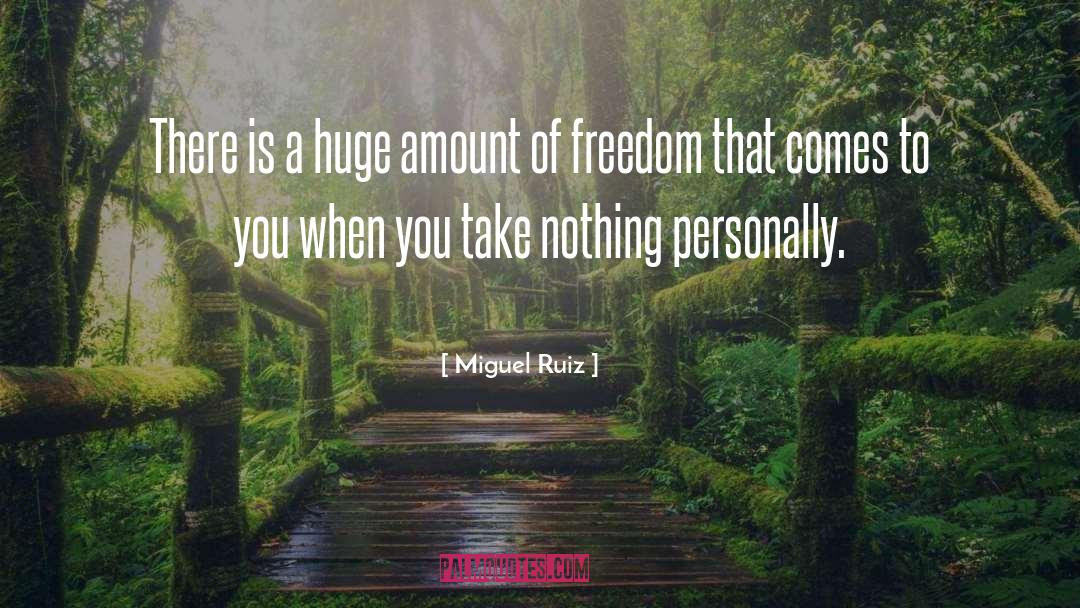 Miguel Ruiz Quotes: There is a huge amount