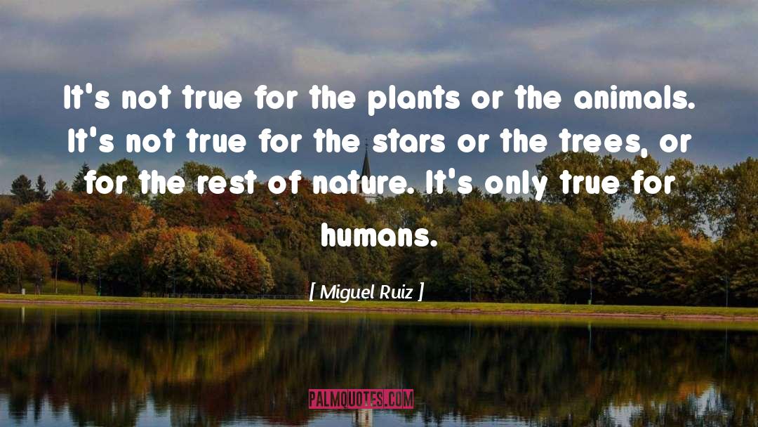 Miguel Ruiz Quotes: It's not true for the