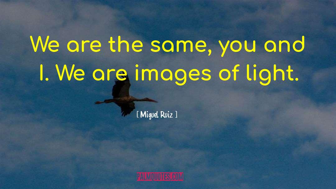 Miguel Ruiz Quotes: We are the same, you