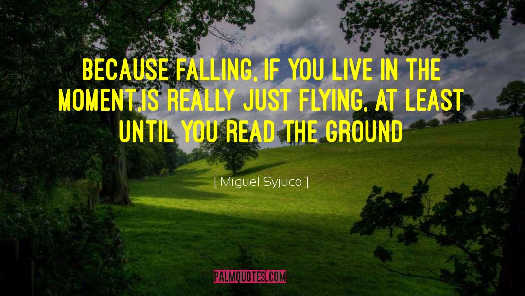 Miguel Syjuco Quotes: Because falling, if you live