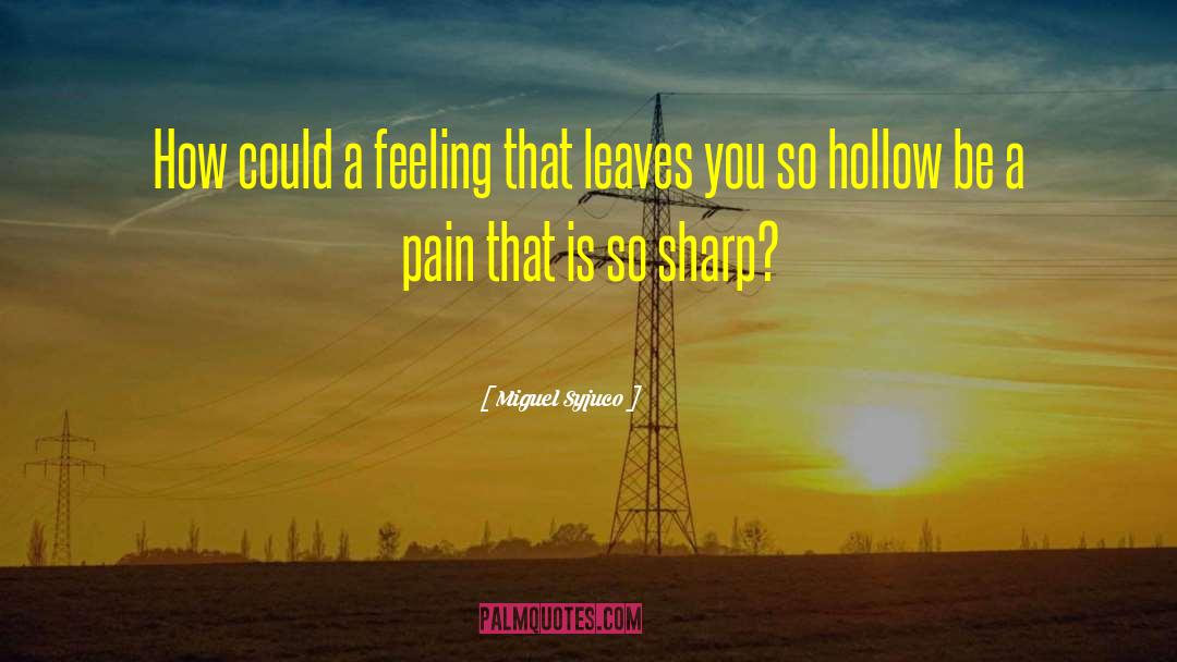 Miguel Syjuco Quotes: How could a feeling that