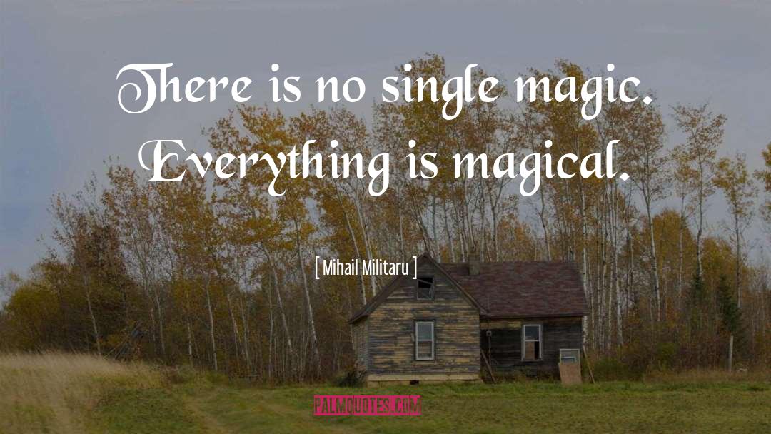 Mihail Militaru Quotes: There is no single magic.