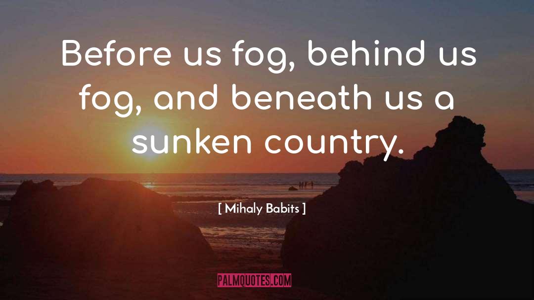 Mihaly Babits Quotes: Before us fog, behind us