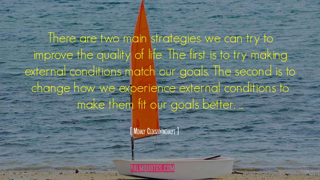 Mihaly Csikszentmihalyi Quotes: There are two main strategies
