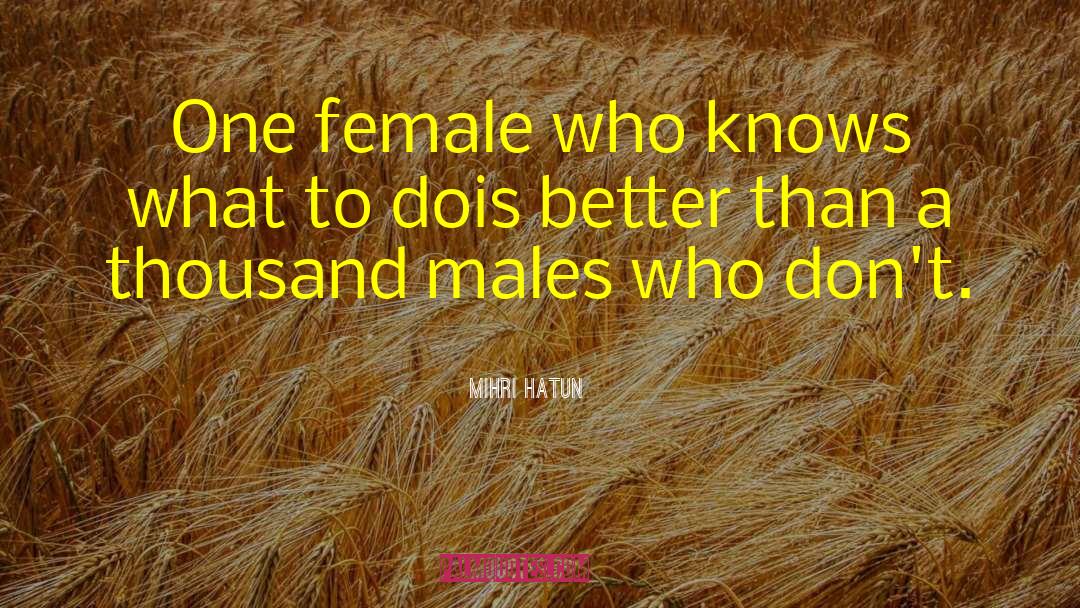 Mihri Hatun Quotes: One female who knows what
