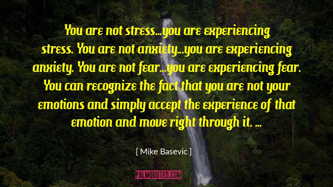 Mike Basevic Quotes: You are not stress...you are