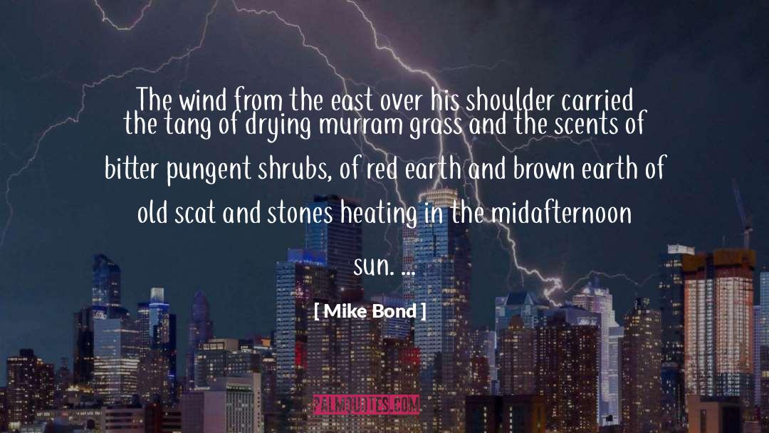 Mike Bond Quotes: The wind from the east