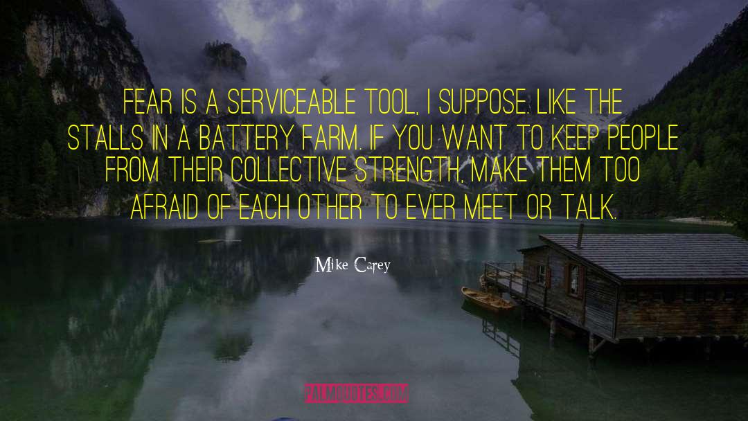 Mike Carey Quotes: Fear is a serviceable tool,