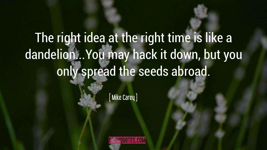 Mike Carey Quotes: The right idea at the