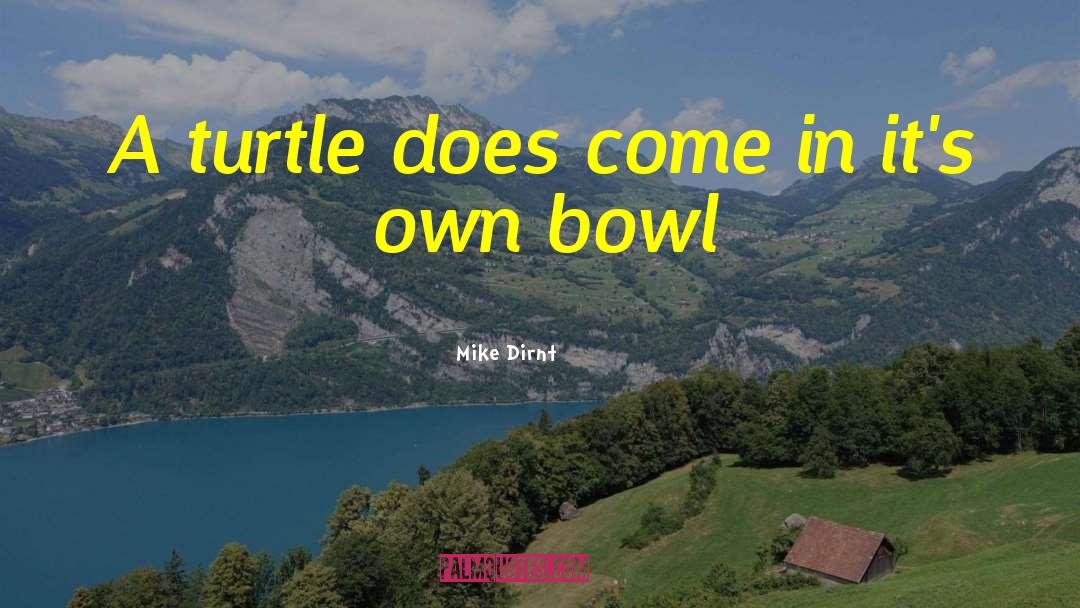 Mike Dirnt Quotes: A turtle does come in