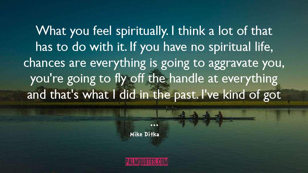 Mike Ditka Quotes: What you feel spiritually. I