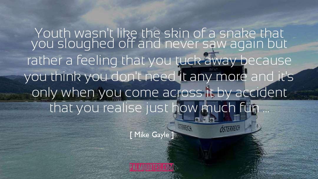 Mike Gayle Quotes: Youth wasn't like the skin