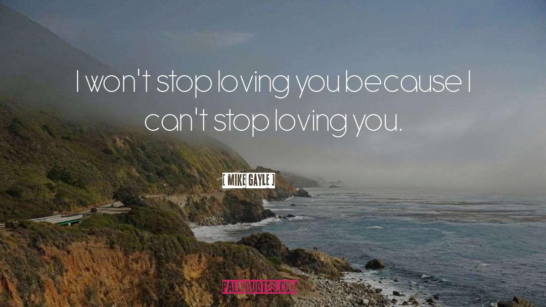 Mike Gayle Quotes: I won't stop loving you
