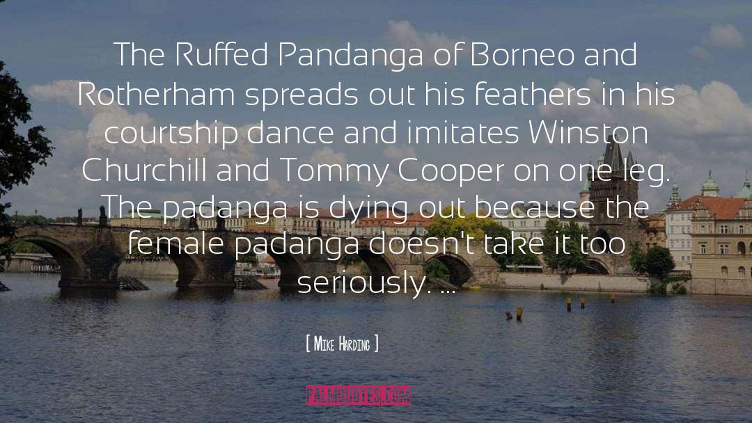 Mike Harding Quotes: The Ruffed Pandanga of Borneo