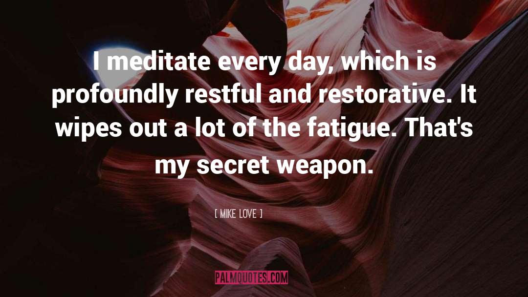 Mike Love Quotes: I meditate every day, which