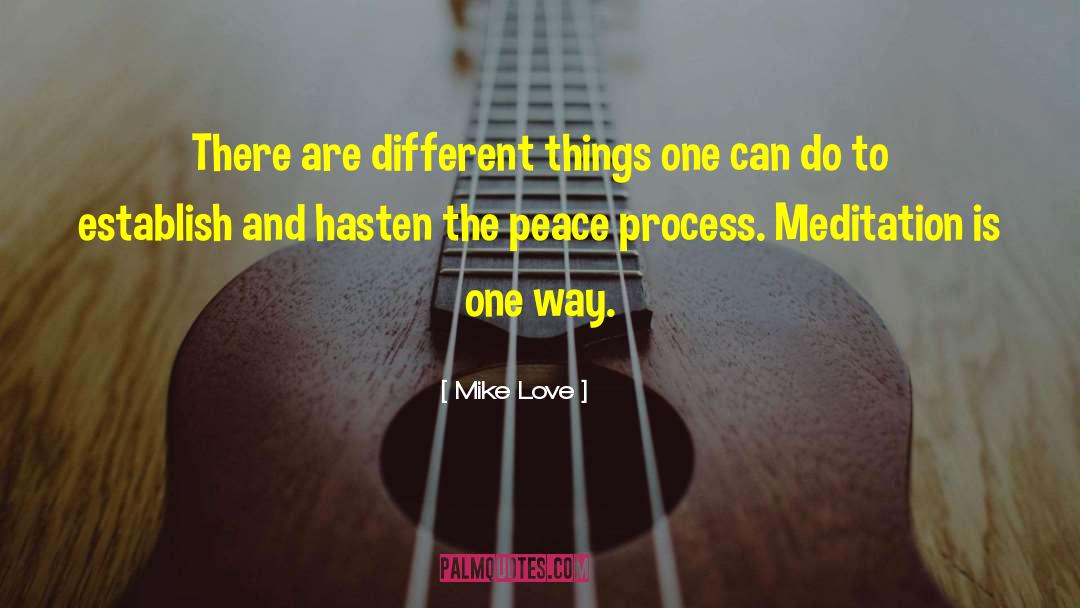 Mike Love Quotes: There are different things one