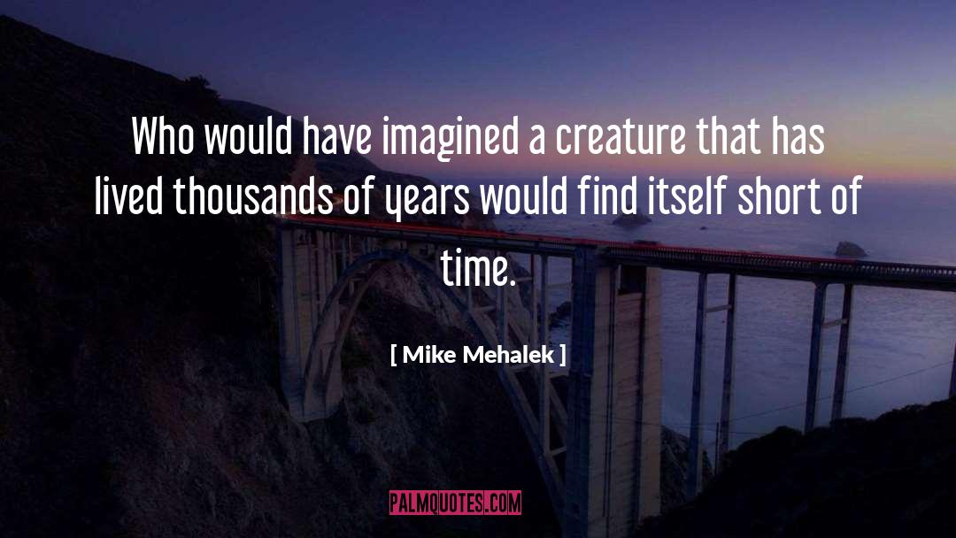 Mike Mehalek Quotes: Who would have imagined a