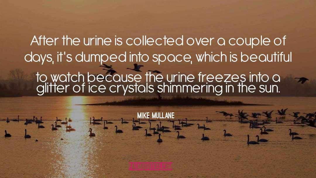 Mike Mullane Quotes: After the urine is collected