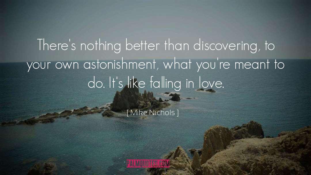 Mike Nichols Quotes: There's nothing better than discovering,