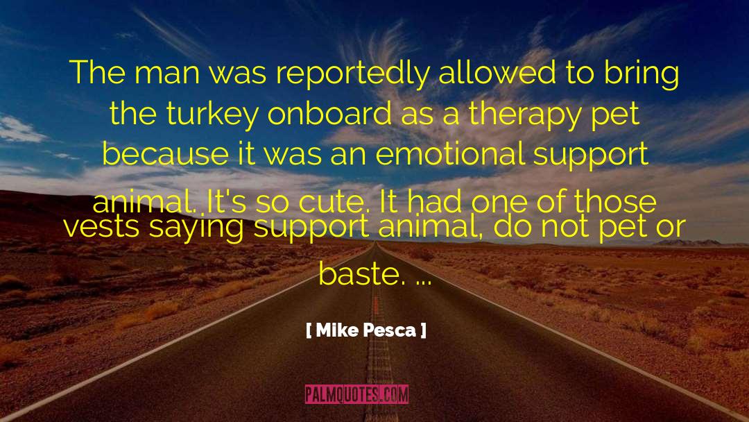 Mike Pesca Quotes: The man was reportedly allowed