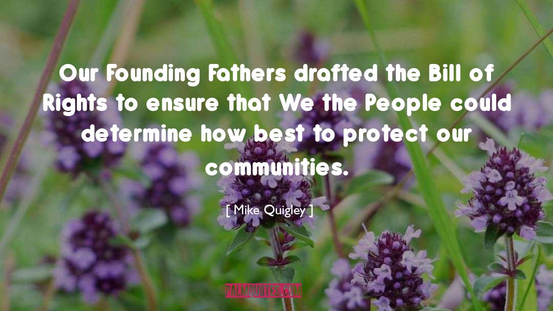 Mike Quigley Quotes: Our Founding Fathers drafted the