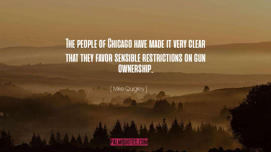 Mike Quigley Quotes: The people of Chicago have