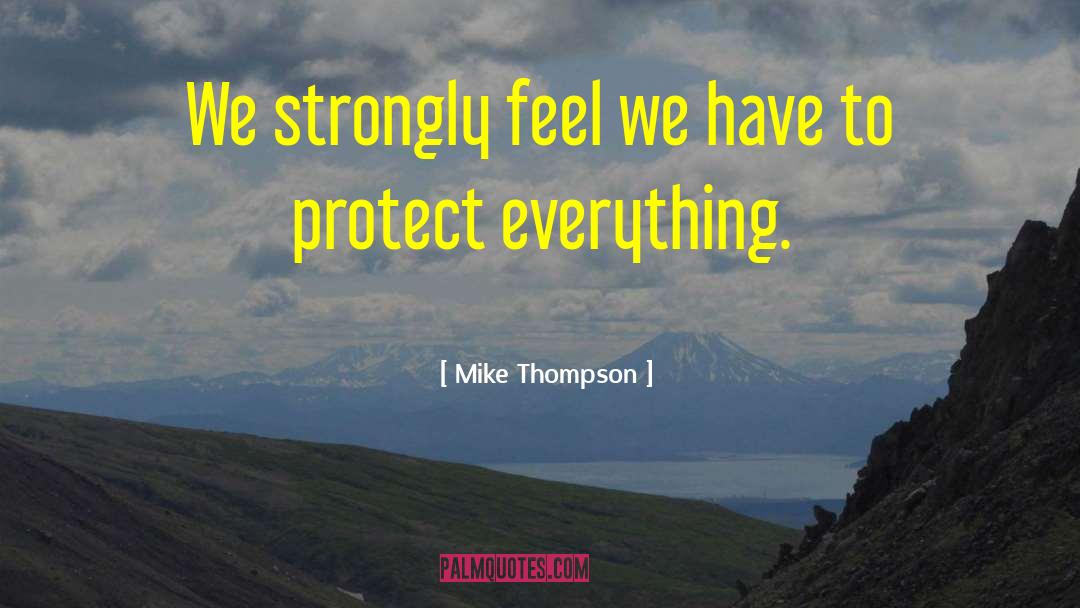 Mike Thompson Quotes: We strongly feel we have