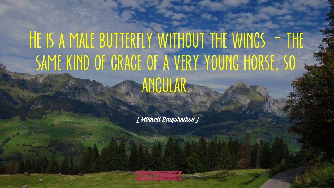 Mikhail Baryshnikov Quotes: He is a male butterfly