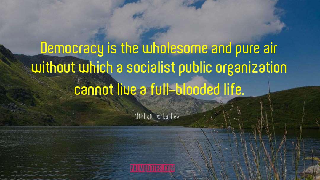 Mikhail Gorbachev Quotes: Democracy is the wholesome and