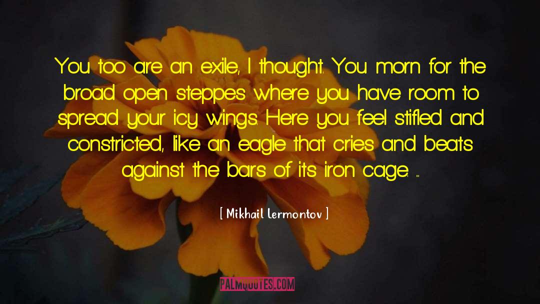 Mikhail Lermontov Quotes: You too are an exile,