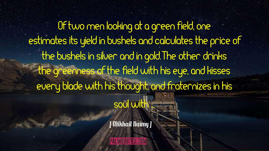 Mikhail Naimy Quotes: Of two men looking at